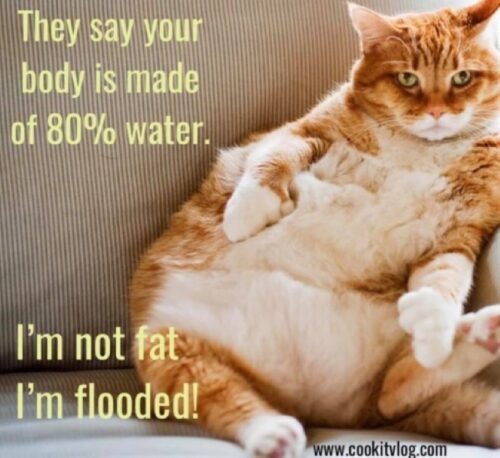 Im not fat, Im flooded